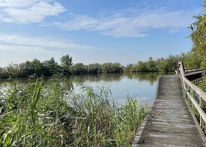 Dromen In De Duinen By Droomvilla *