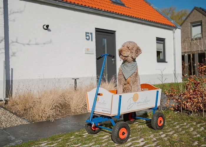 Dromen In De Duinen By Droomvilla Hébergement de vacances *
